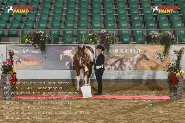 Preview Open Stallion 4 Yr Old And Older GP2_0975.jpg